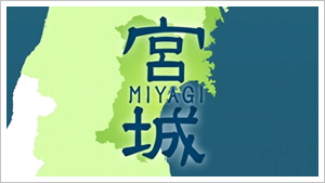 Special MIYAGI 宮城